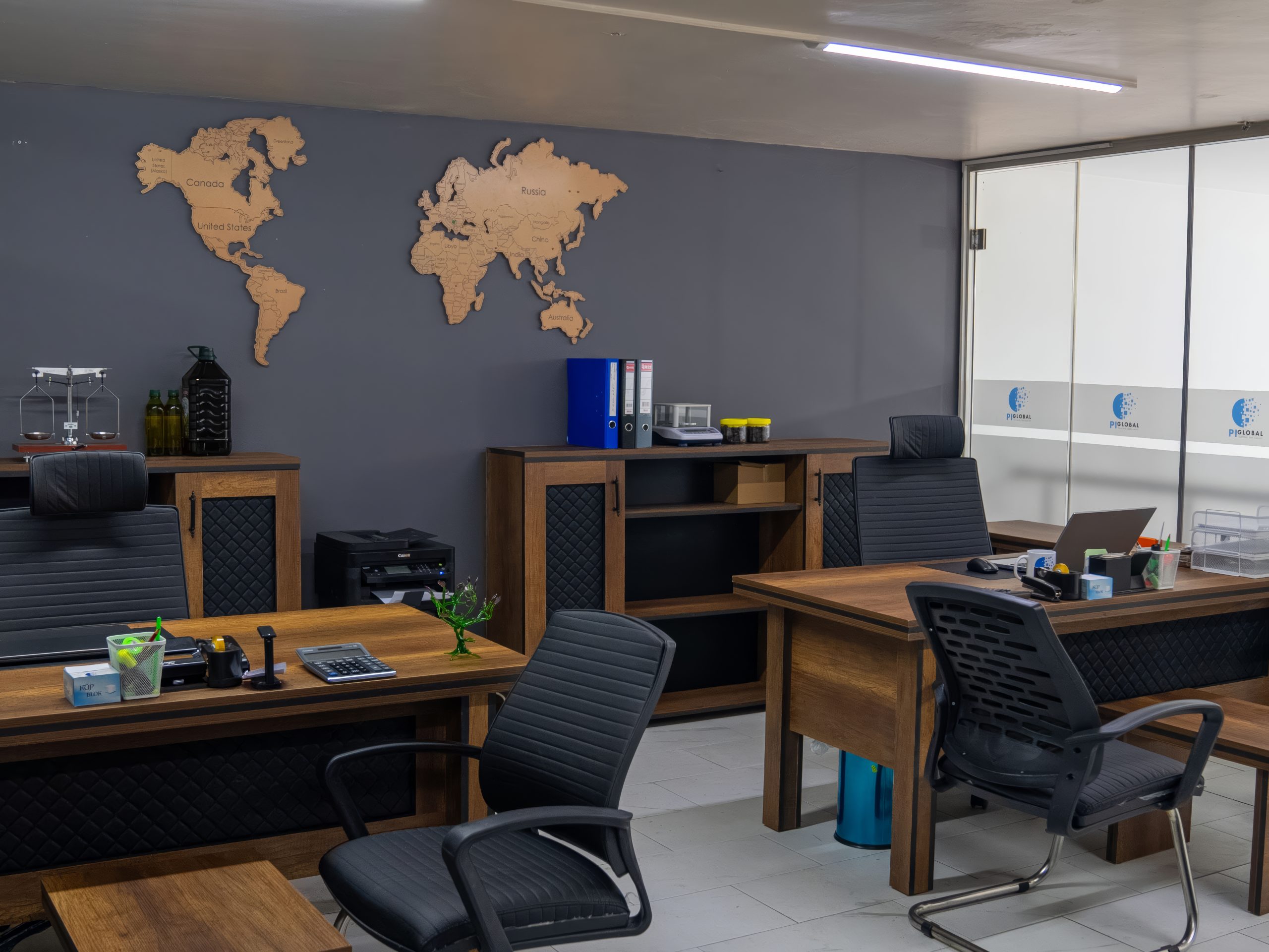 pi-global (2)