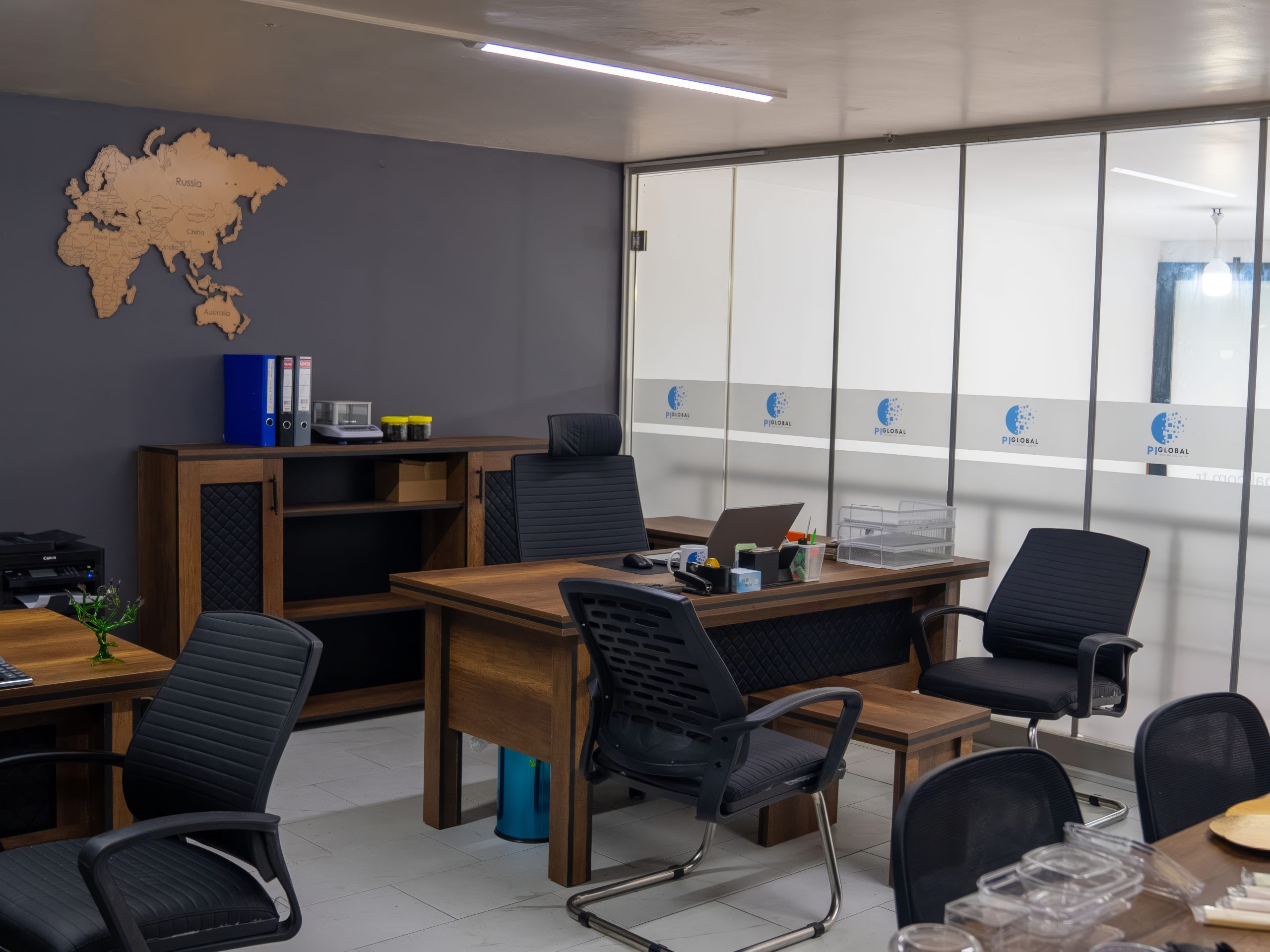 pi-global (3)